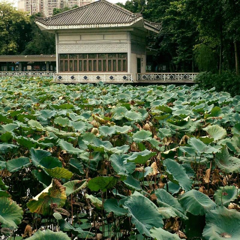 Guangzhou