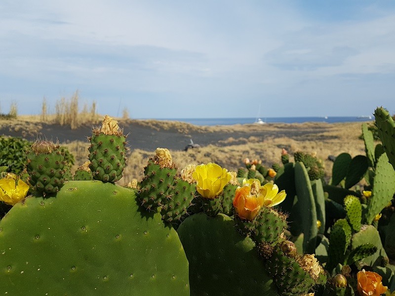 Što ima za doživjeti u Kalabriji