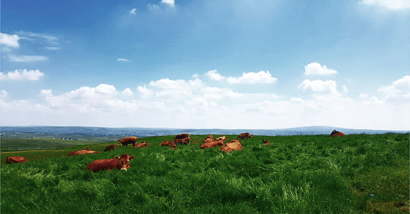 Cliffs of Moher i plaža Lahinch 