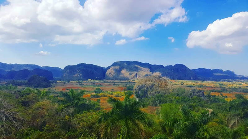 Atrakcije u Vinalesu: Muncipal Muzej, Botanicki vrt, Paleontoloski Muzej, Spilje Cueva del Indio, Cueva de Jose Miguel i Cueva de Santo Tomas, Mural Prahistorije