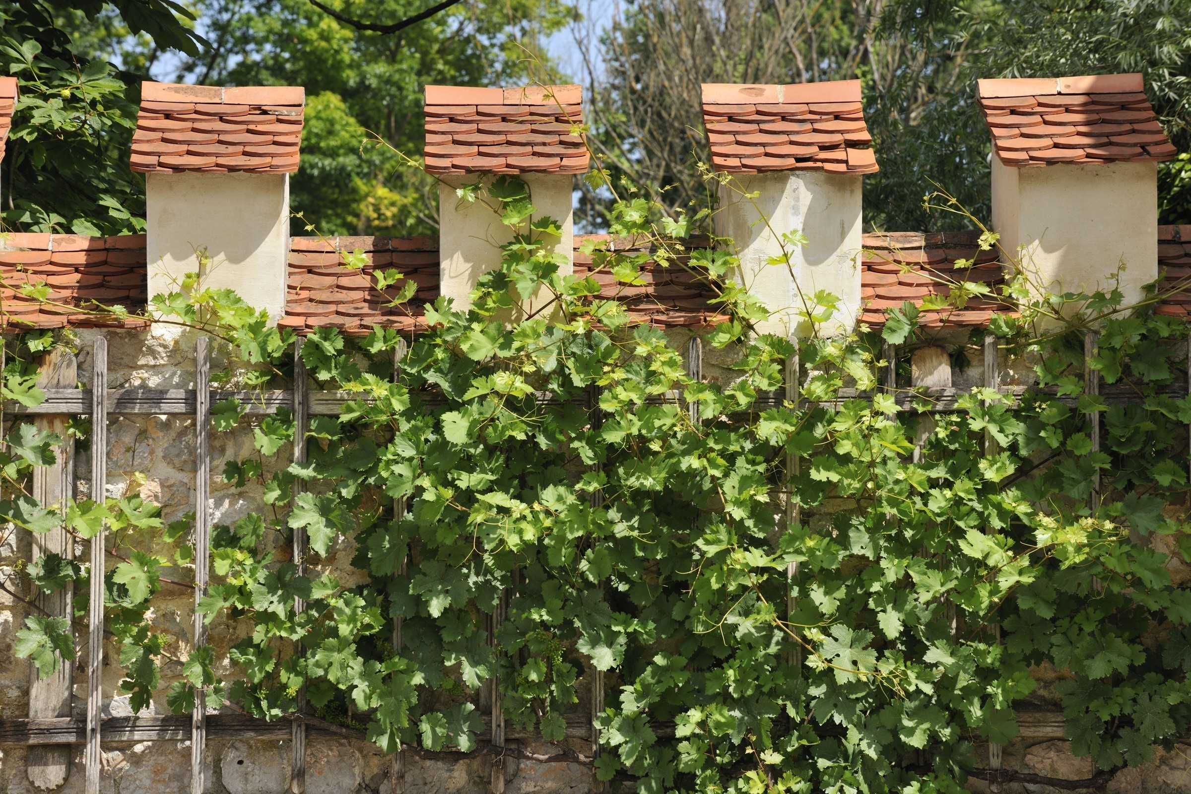 Relais & Châteaux Otočec Castle hotel 