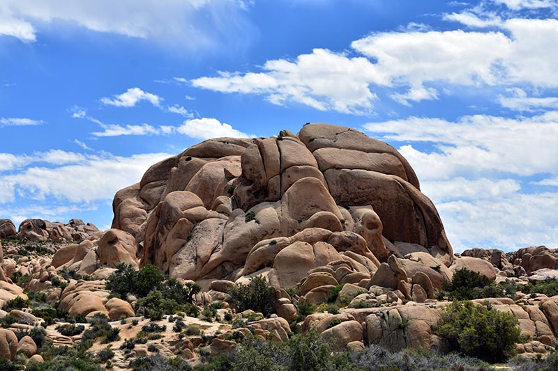 najbolji road trip na svijetu