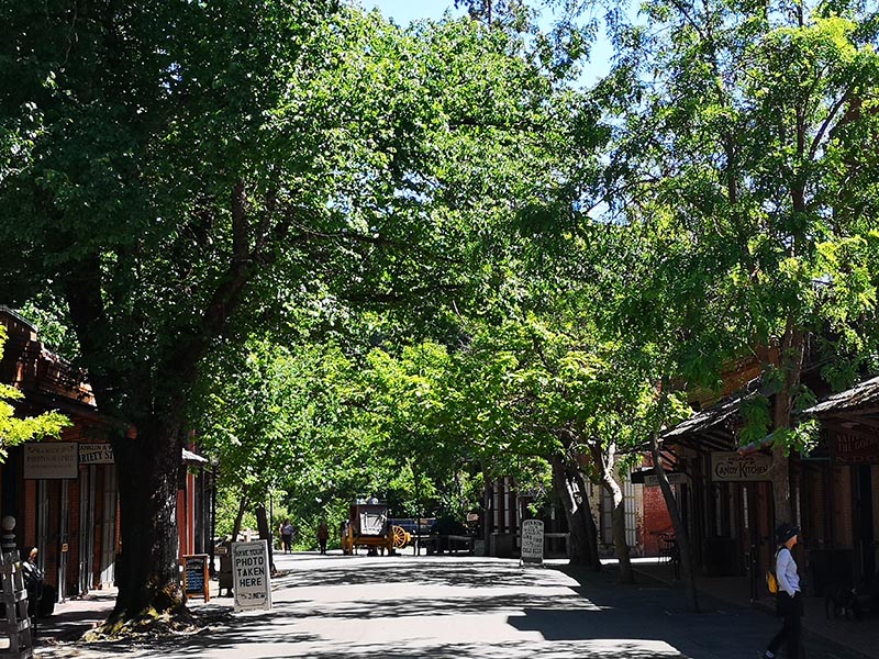 Zlatna groznica još uvijek traje