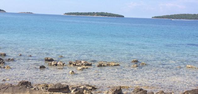otok spužvarstva