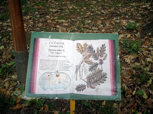 botanička bašta jevremovac