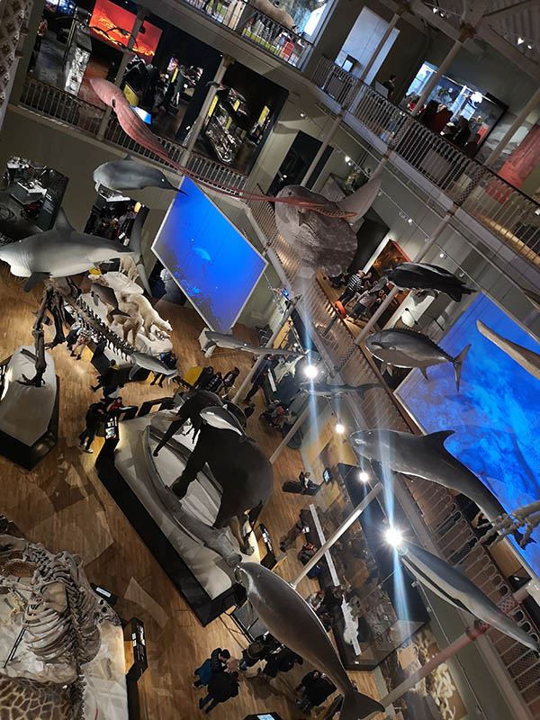 Edinburgh najljepši grad