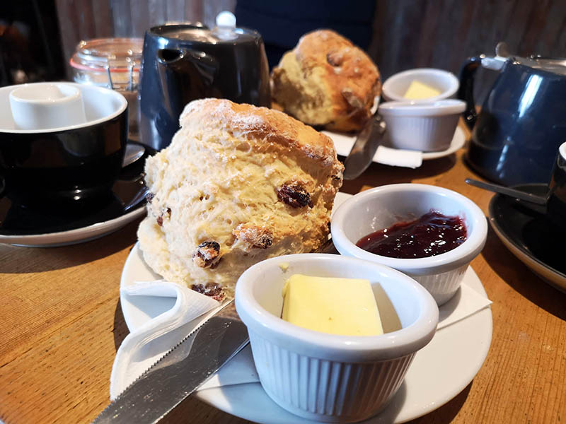 The Meadows park – divan park nekih pola kilometra od stare jezgre grada.